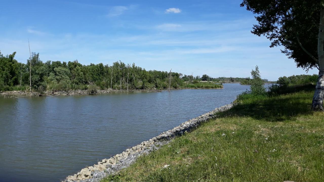 Biesbosch Bed & Breakfast Werkendam ภายนอก รูปภาพ